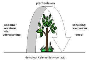 plantenleven paint crop